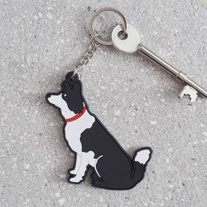 Jättesöt nyckelring! - med border collie